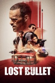 2020_Lost Bullet