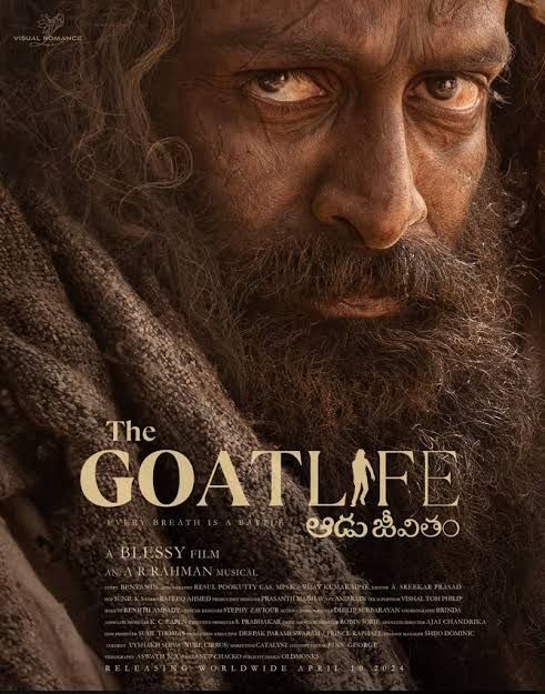 2024_Goat Life